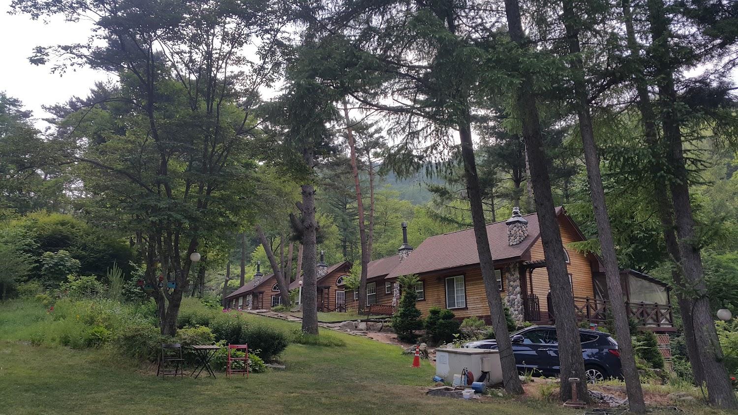 Cover Image for 음악이흐르는숲