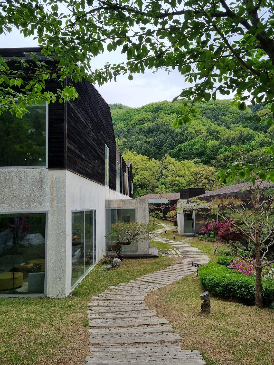 Cover Image for Healience Seonmaeul