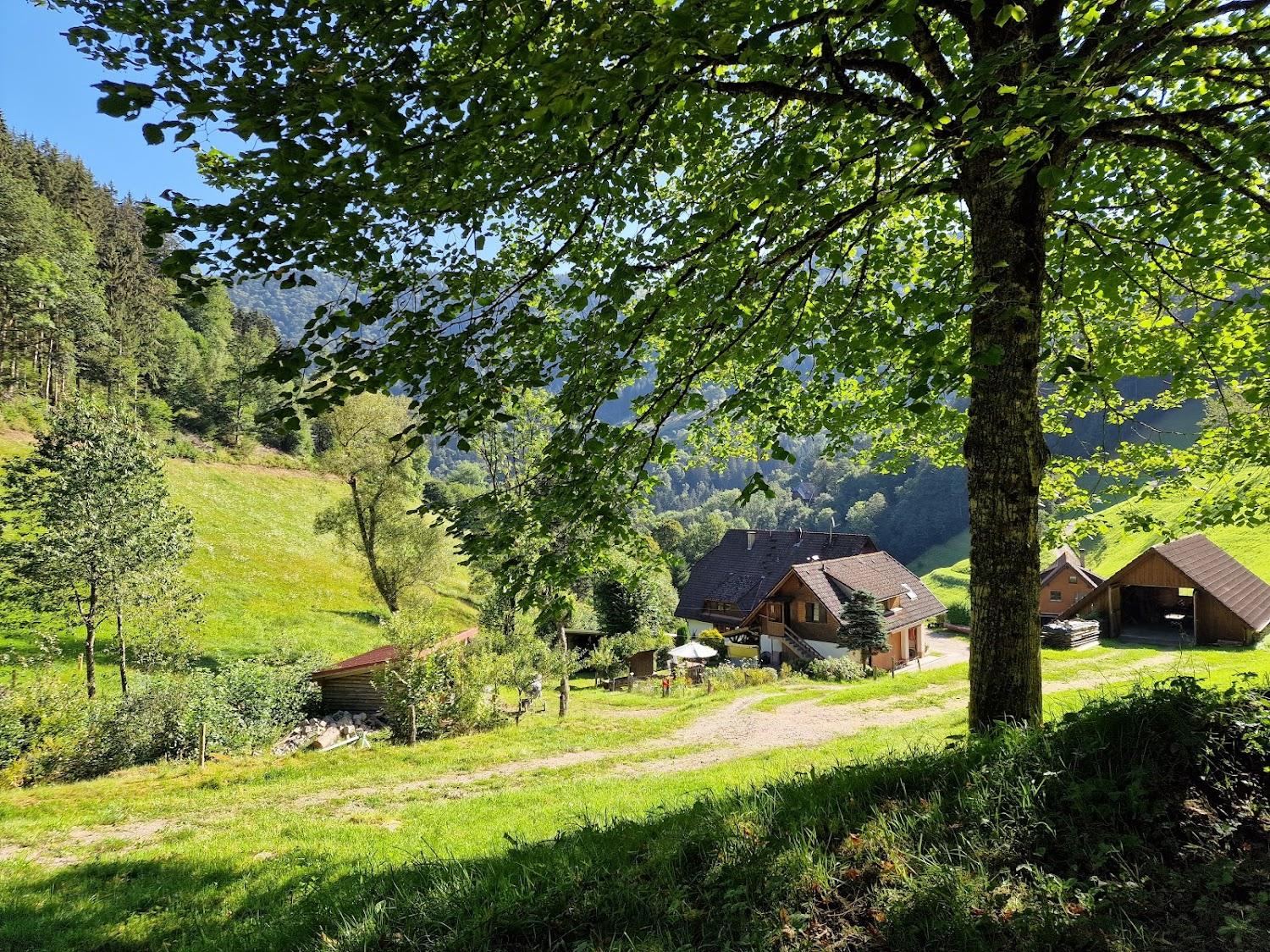 Cover Image for Haldenschwarzhof