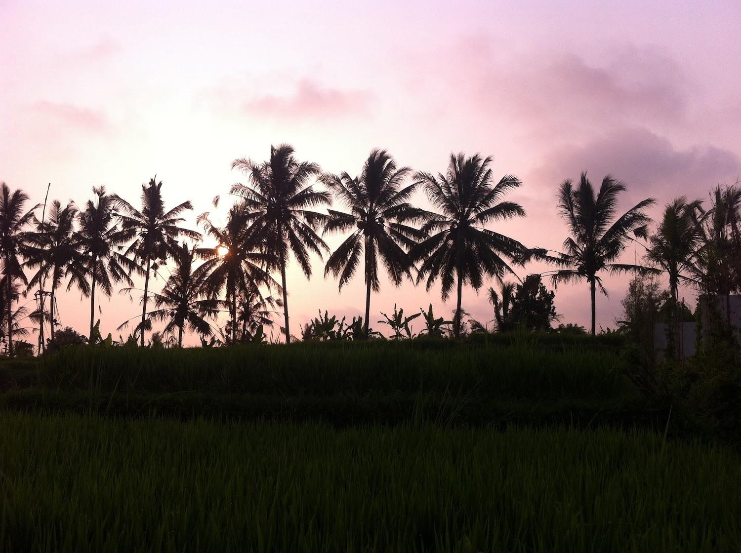 Cover Image for Kanomayasa Ubud Private Villas