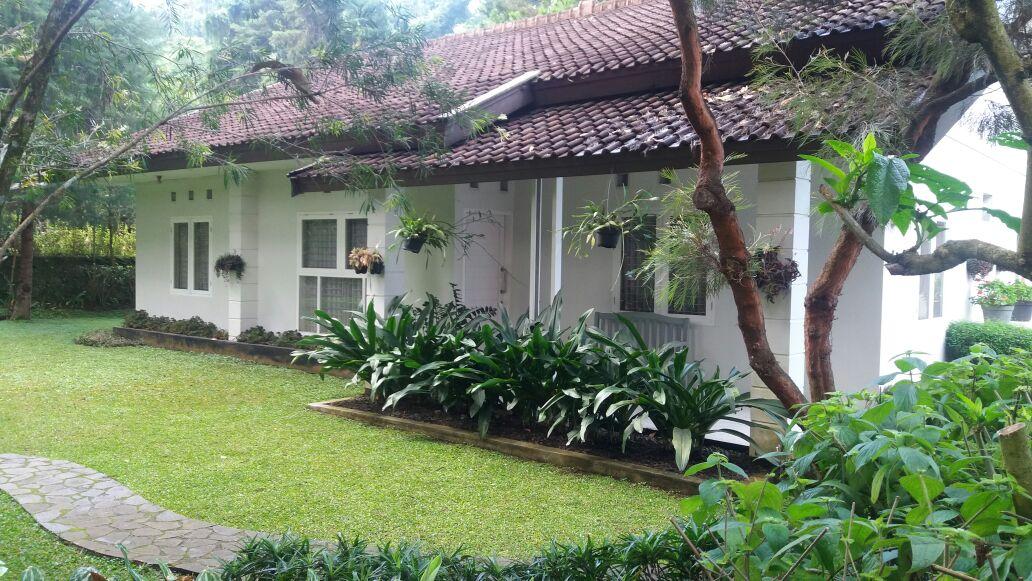 Cover Image for Cattleya House