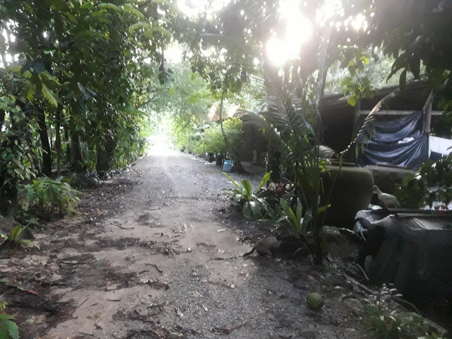 Cover Image for Garden Village