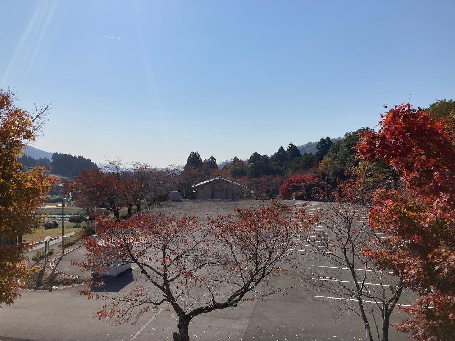 Cover Image for Kokouan