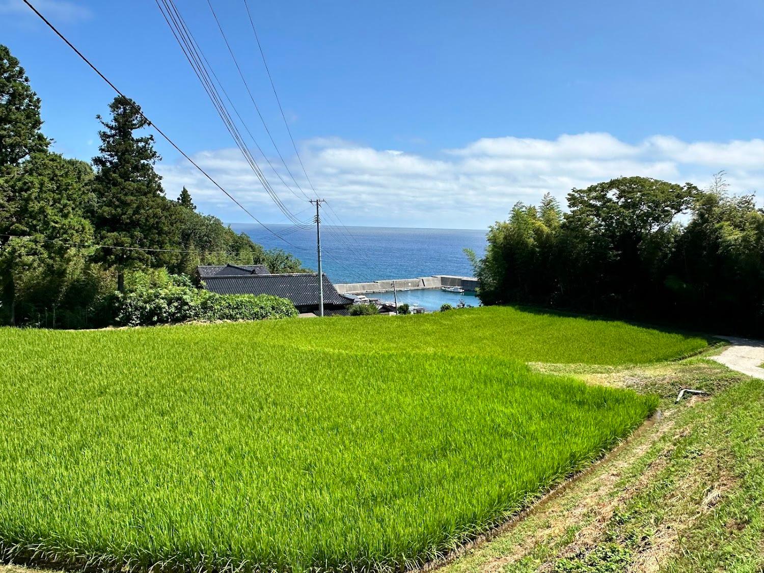 Cover Image for Akagame Kazashima Nagisa Park
