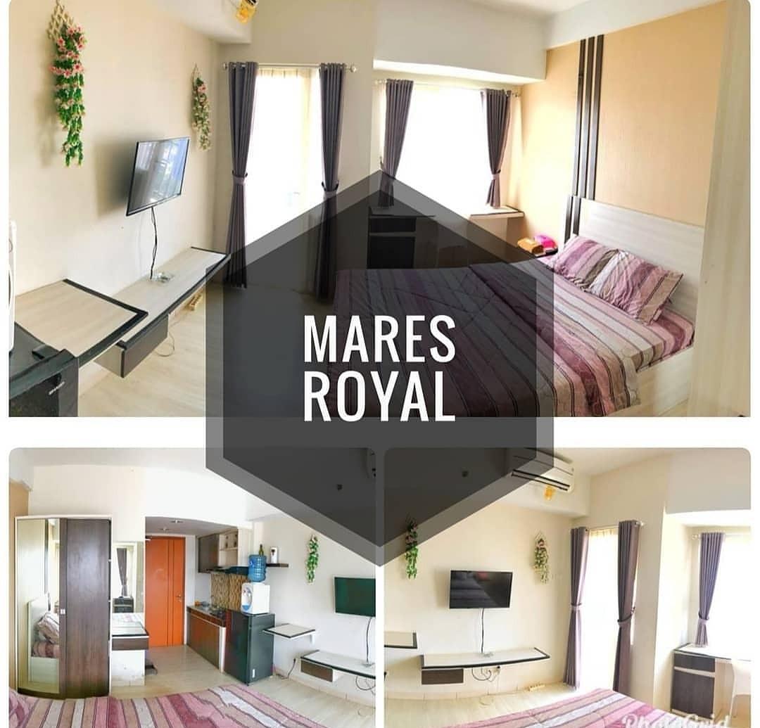 Cover Image for ROYAL EXCLUSIVE MARES 3