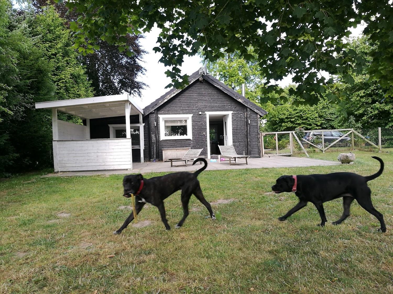 Cover Image for Woodyhouse / Ferienhaus am Nord-Ostsee-Kanal