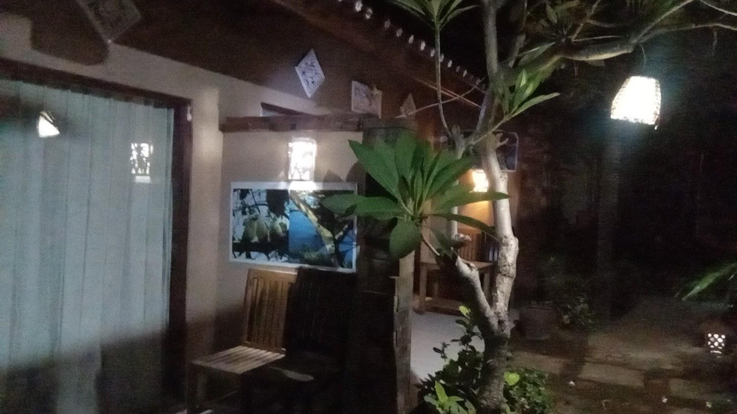 Cover Image for Made Taro - Menjangan Homestay