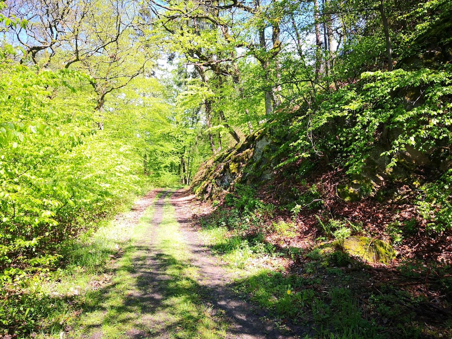 Cover Image for Pension Wiesental