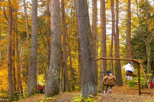 Cover Image for Fujimangan Village Family Camping Ground