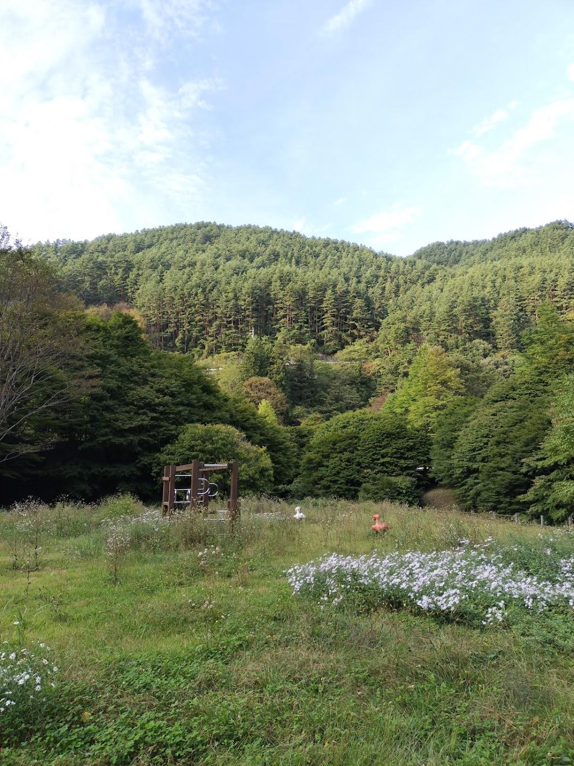 Cover Image for Taruozawa Camping Ground