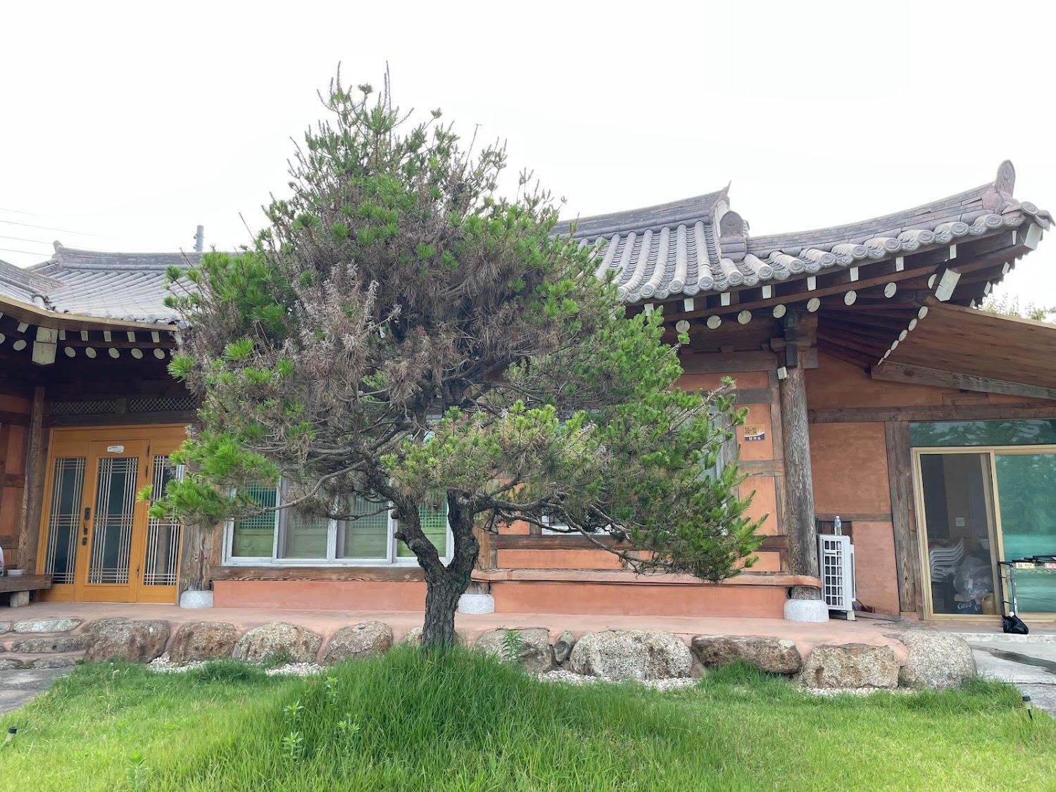 Cover Image for 순천만의추억