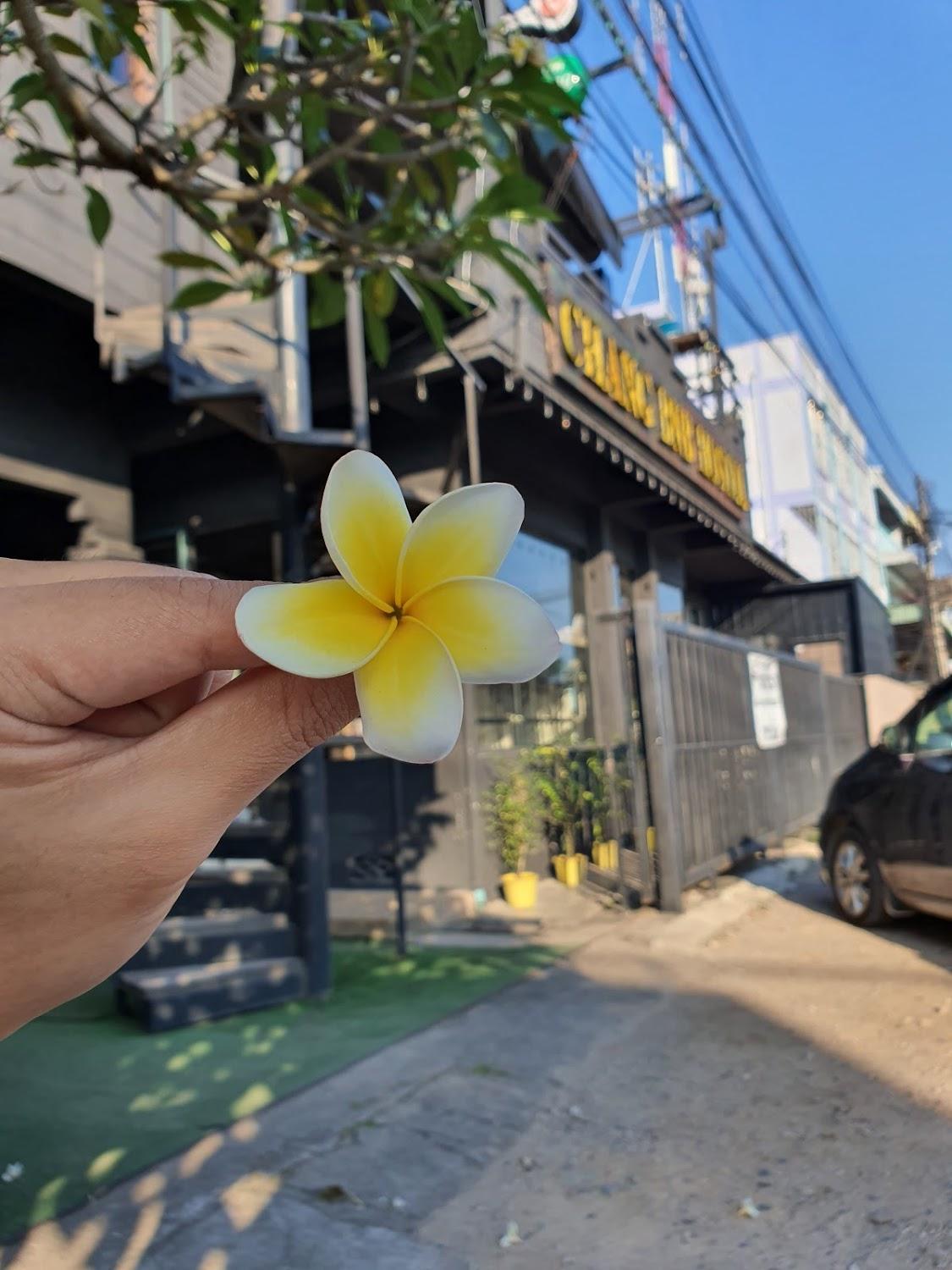 Cover Image for Chang Bed and Bar Hostel Suratthani