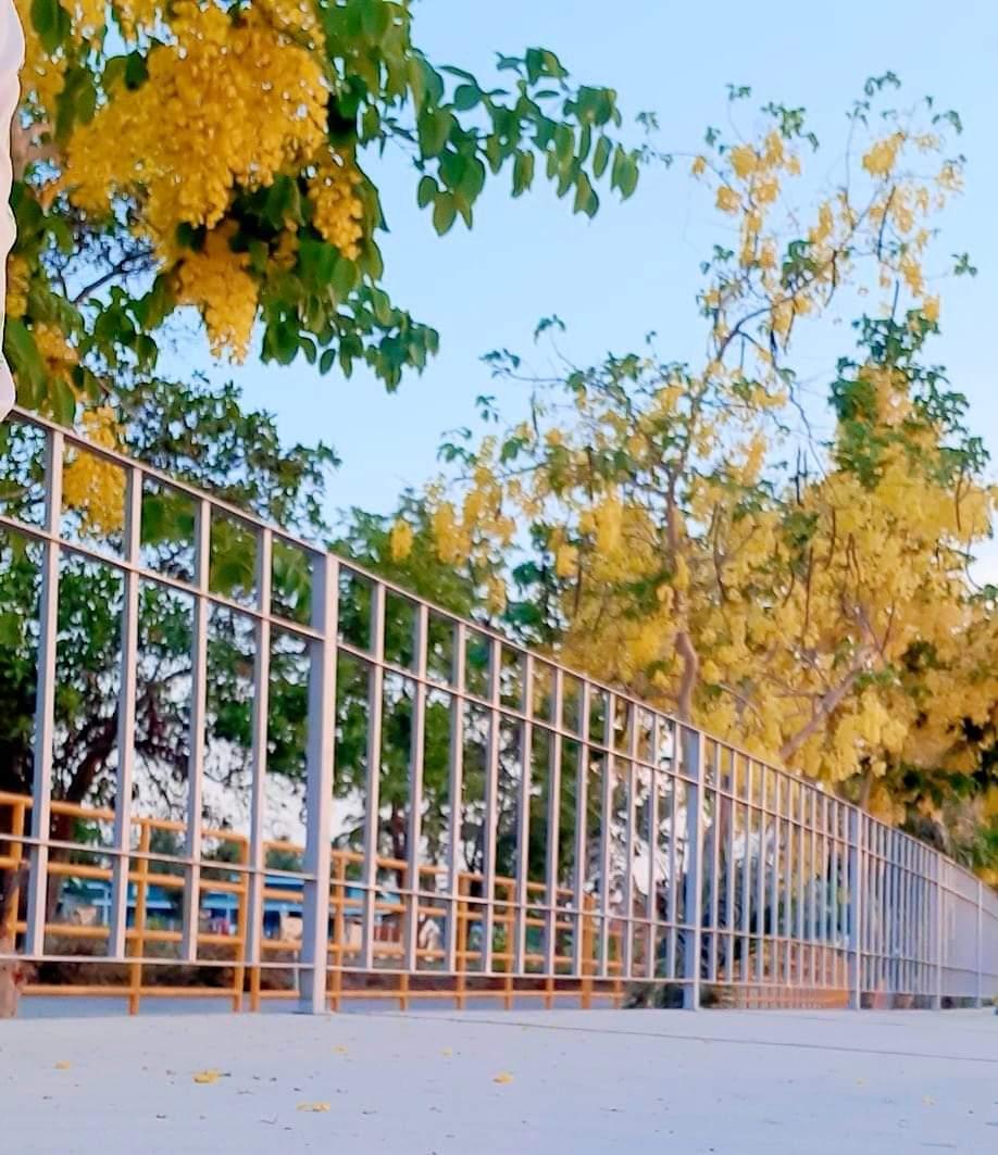 Cover Image for ริมหนองละหานทรายรีสอร์ท - RIMNONG LAHANSAI RESORT