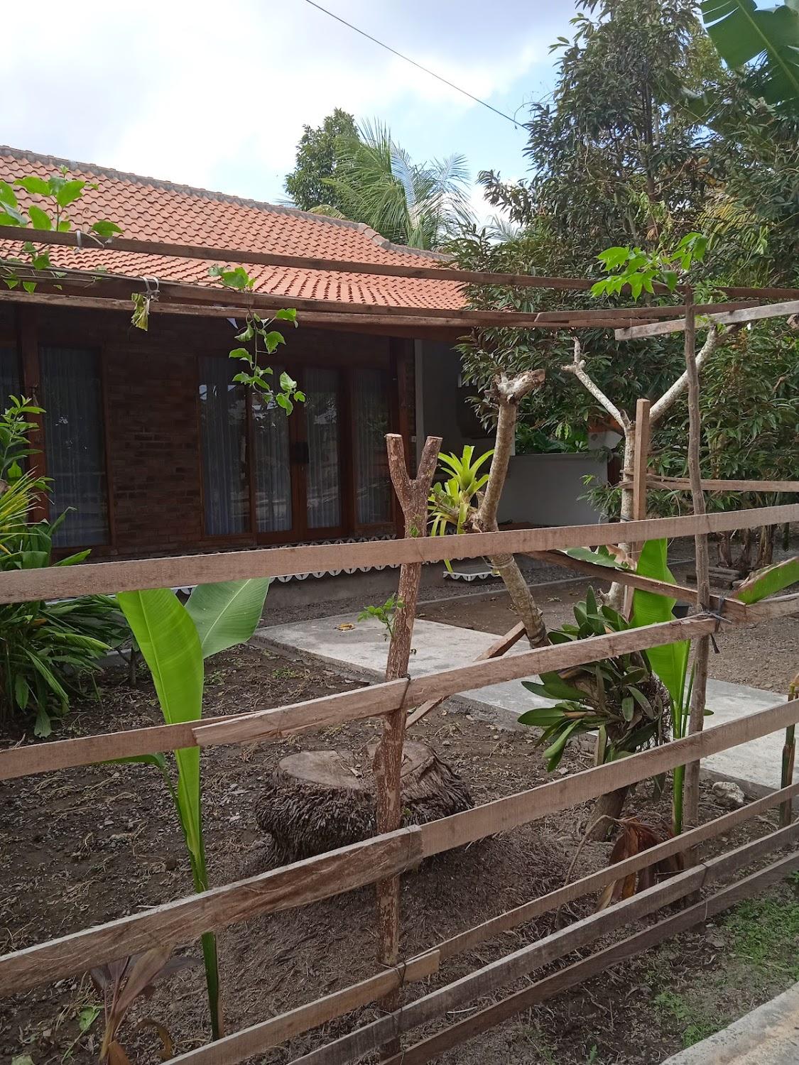 Cover Image for UMAH ALVOKAT