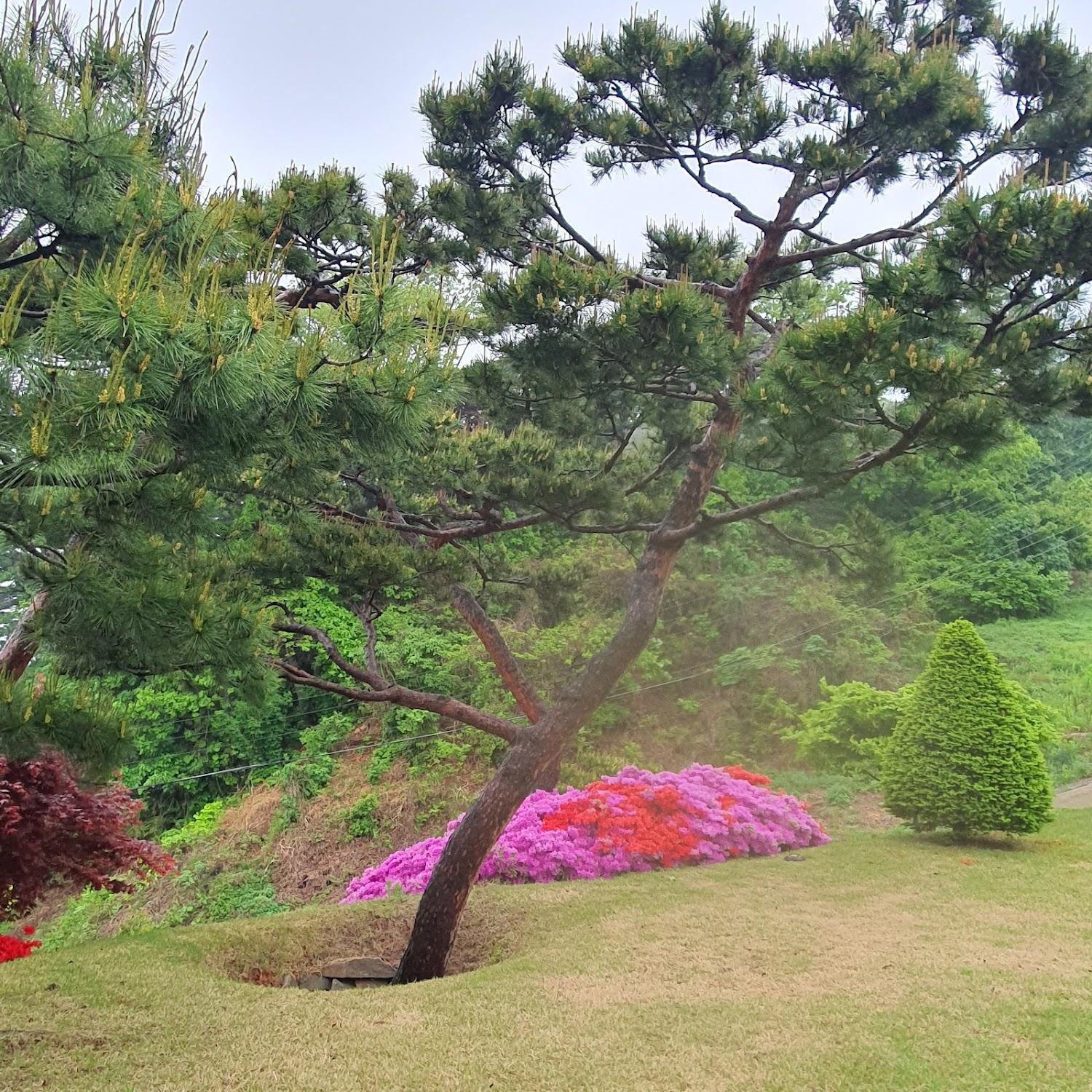 Cover Image for 강화자연농원펜션