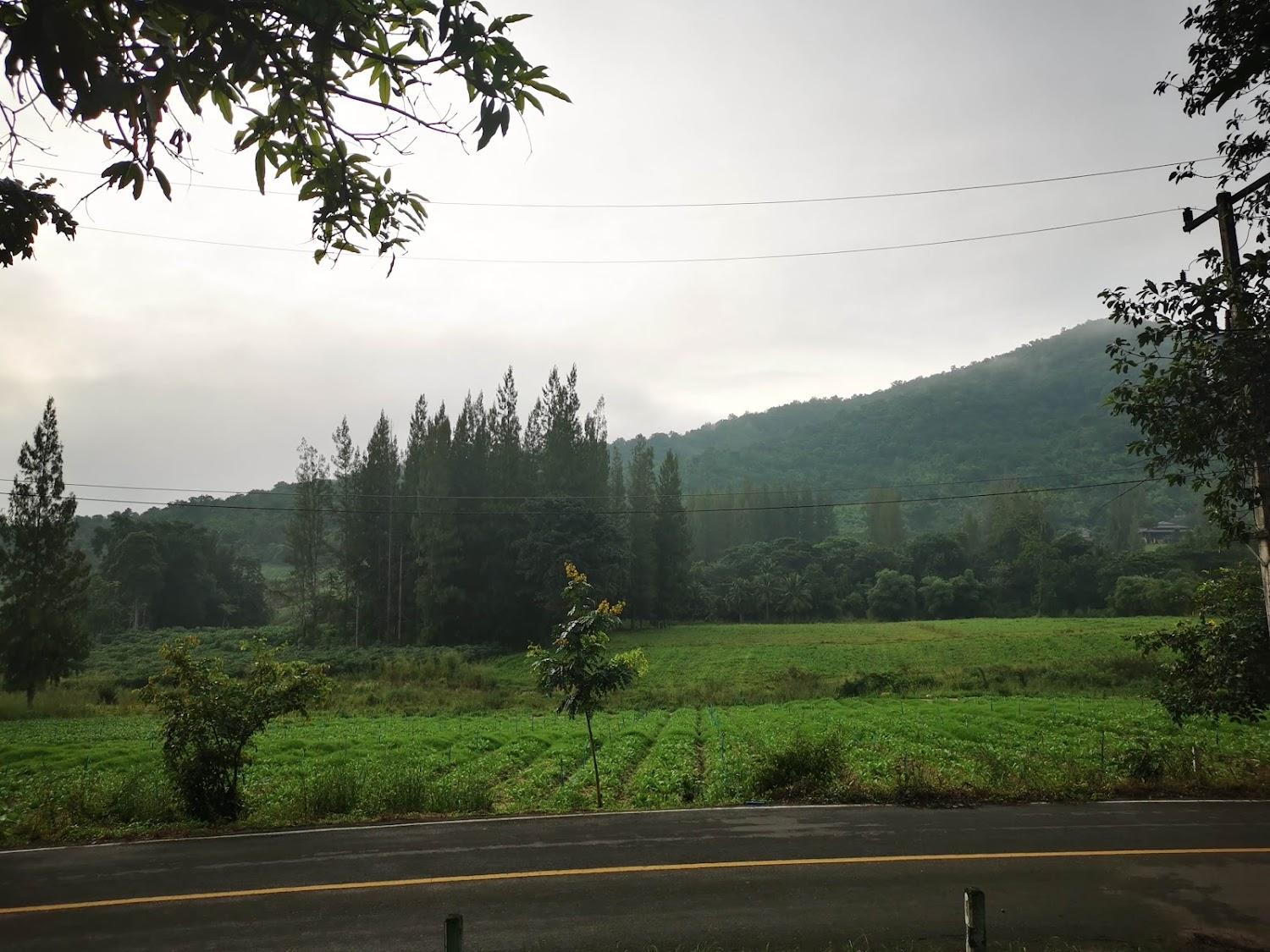 Cover Image for Ruk Khao Suan Phung Resort