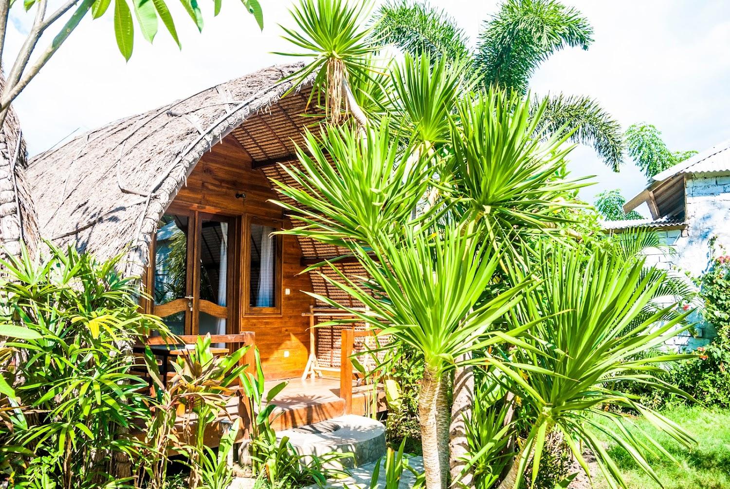 Cover Image for Cotton Tree Cottages