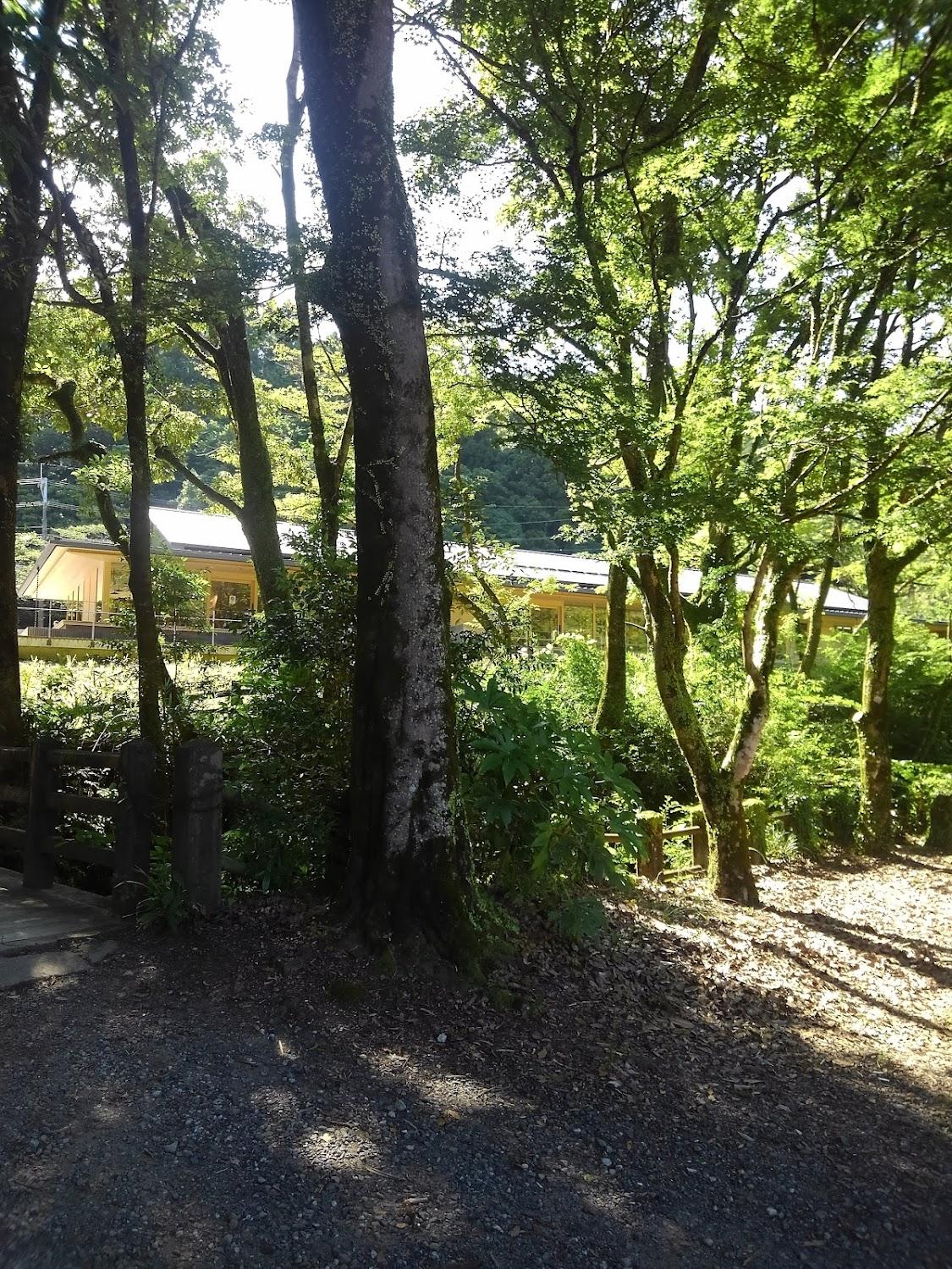 Cover Image for Snow Peak 都城 Campfield