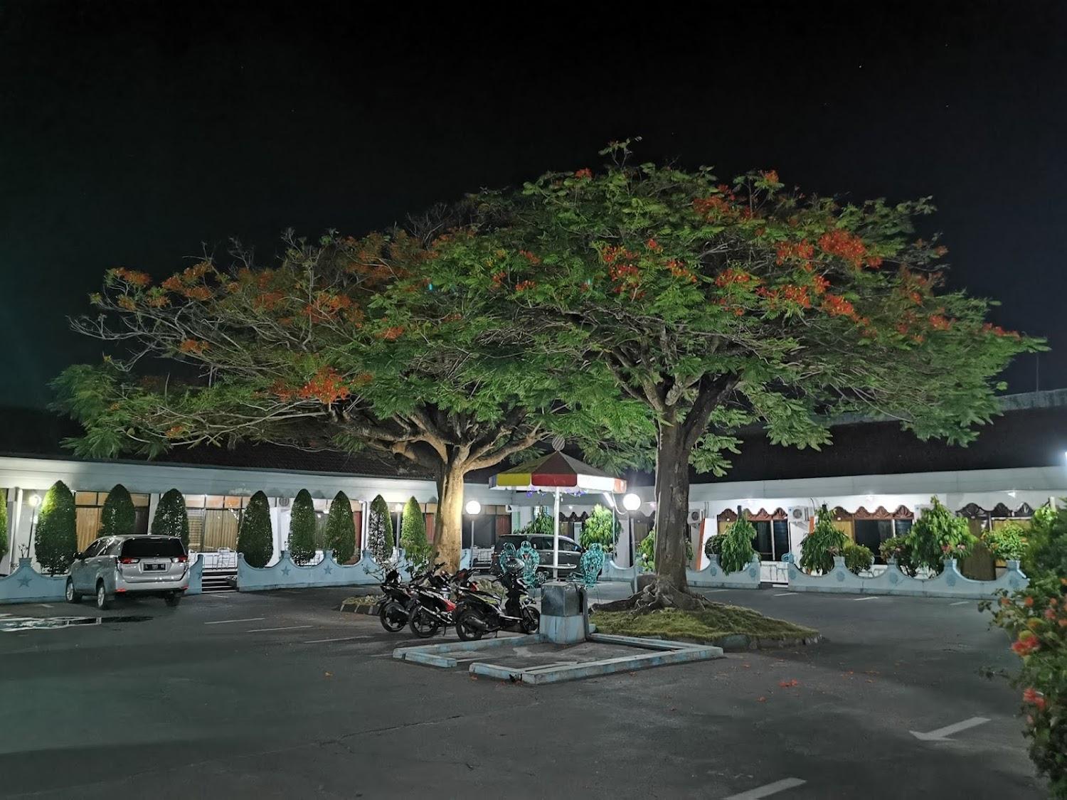 Cover Image for Hotel Palapa