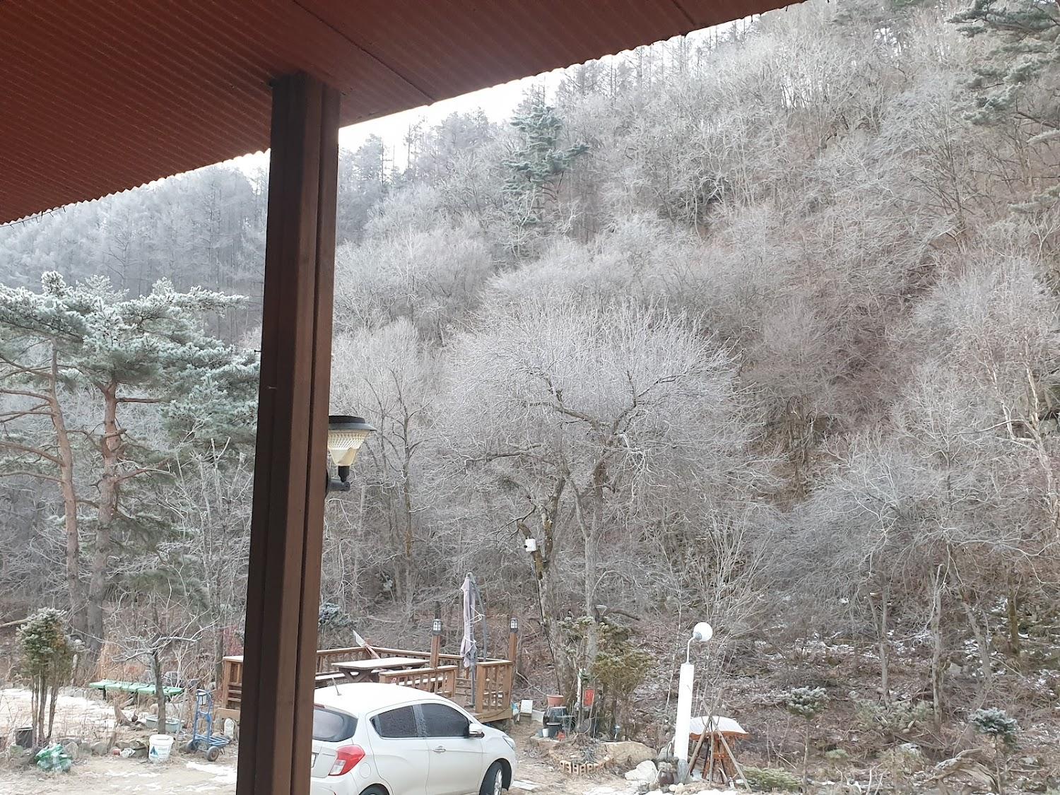 Cover Image for 정선다온펜션