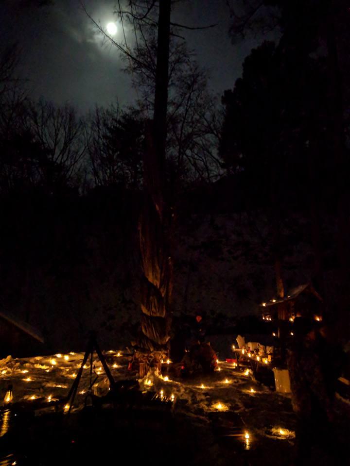 Cover Image for The Forest for next millennium