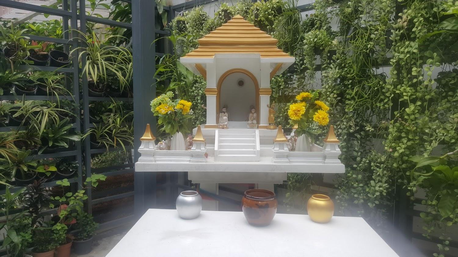 Cover Image for My Thai Hostel