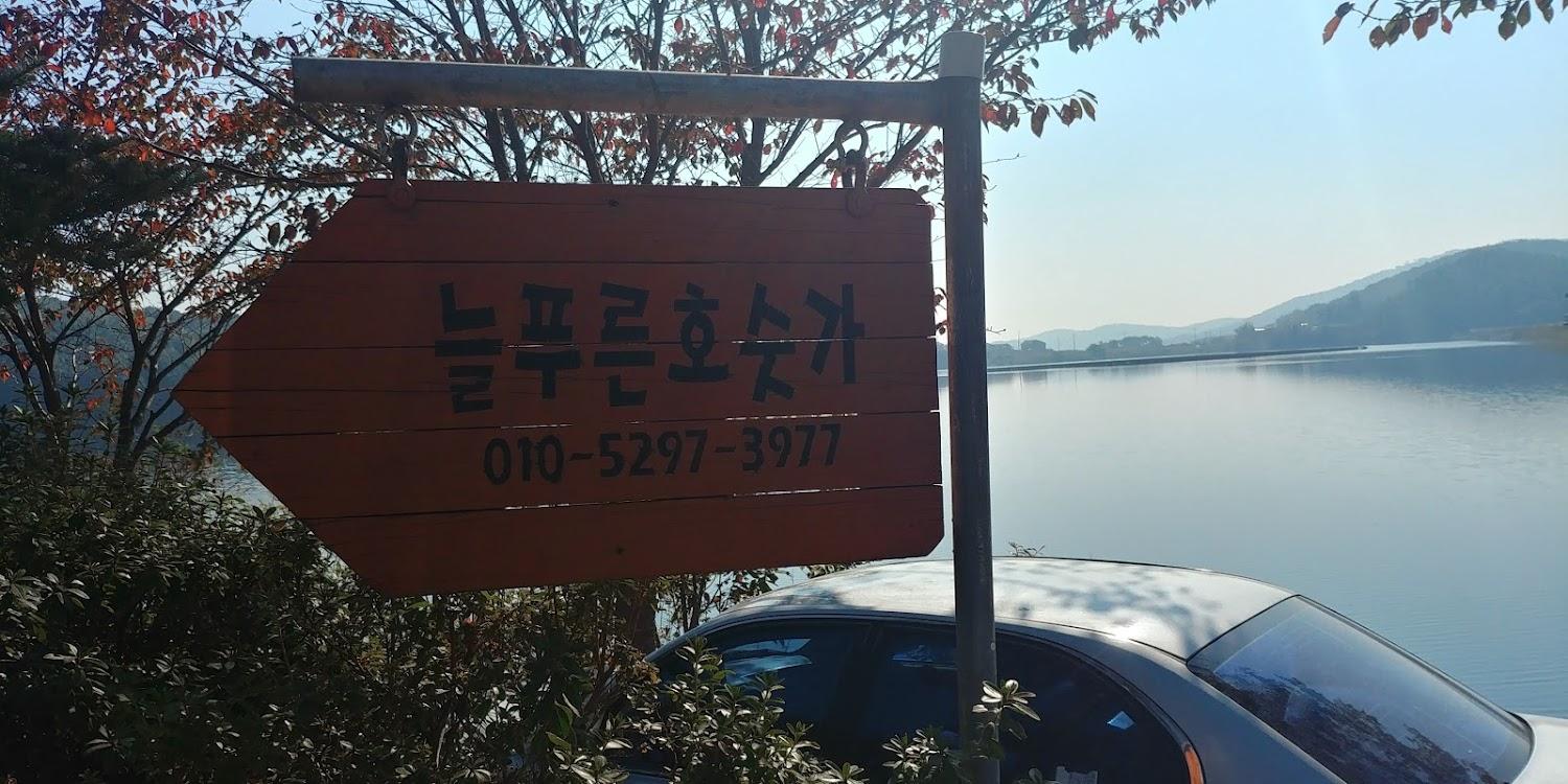 Cover Image for 늘푸른호숫가