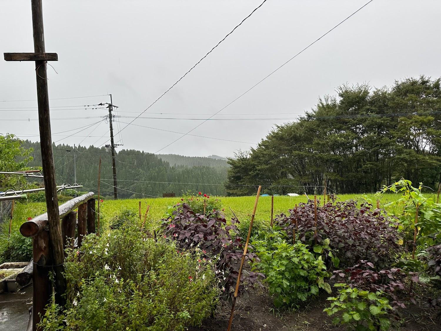 Cover Image for NISHINOKUBO