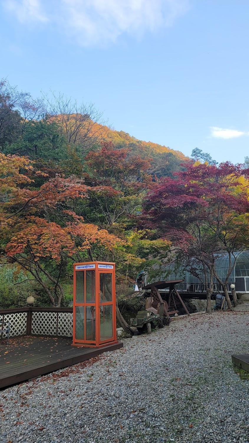 Cover Image for 벨리타펜션