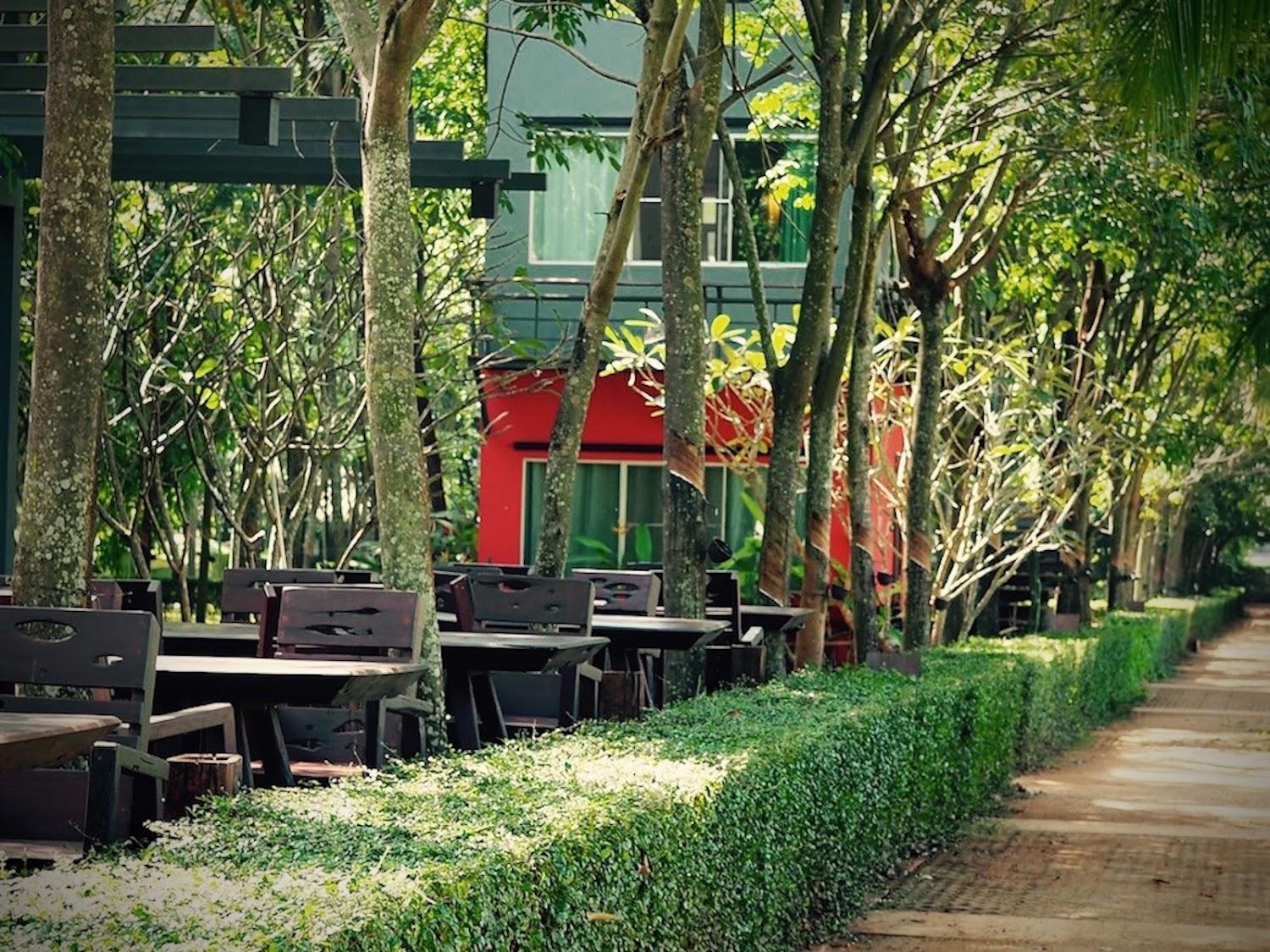 Cover Image for Singha Rubber Tree Resort
