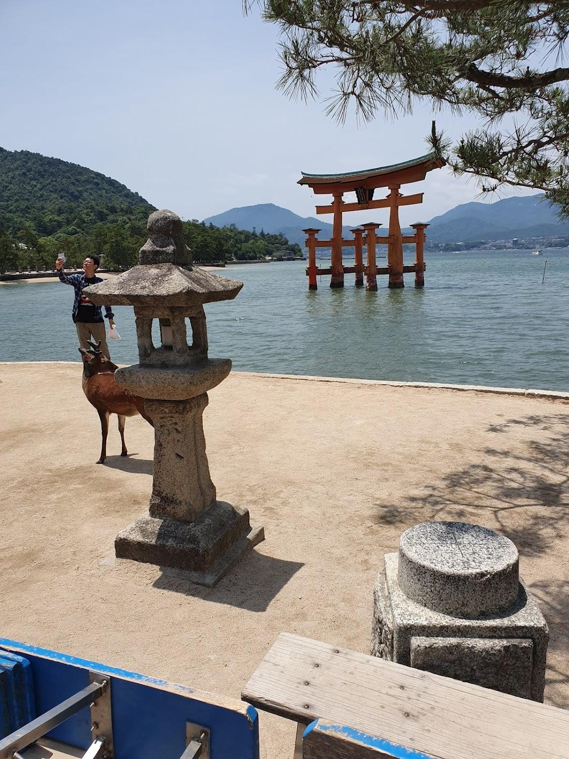 Cover Image for K's House Hiroshima