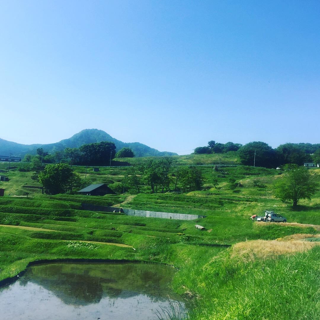 Cover Image for Obasute Guesthouse Nakaraya