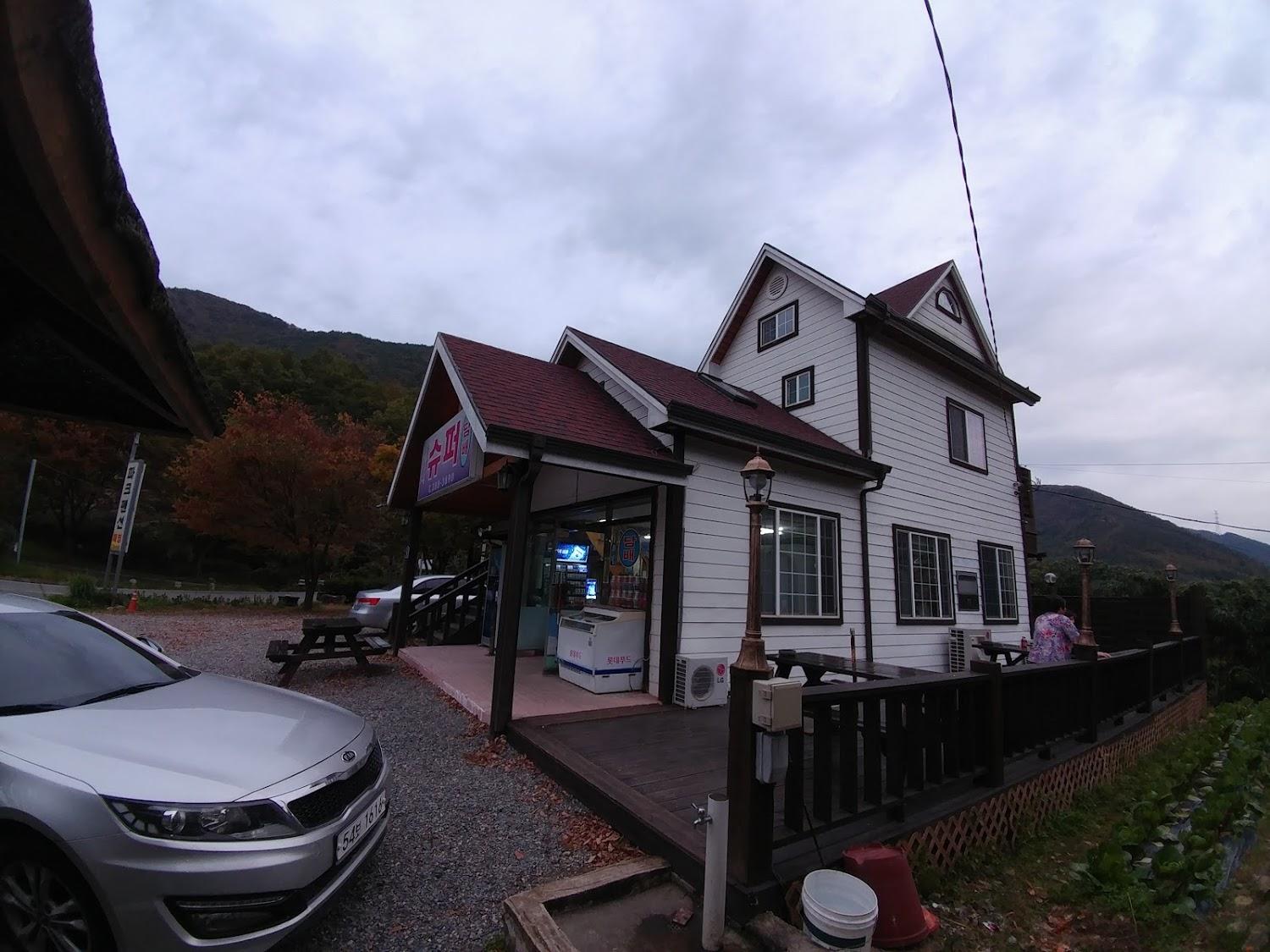 Cover Image for 파크펜션