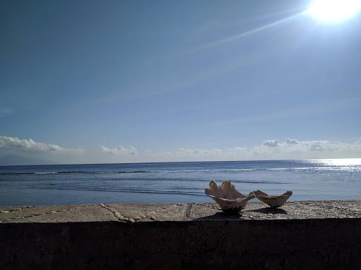 Cover Image for Swan Beach Inn