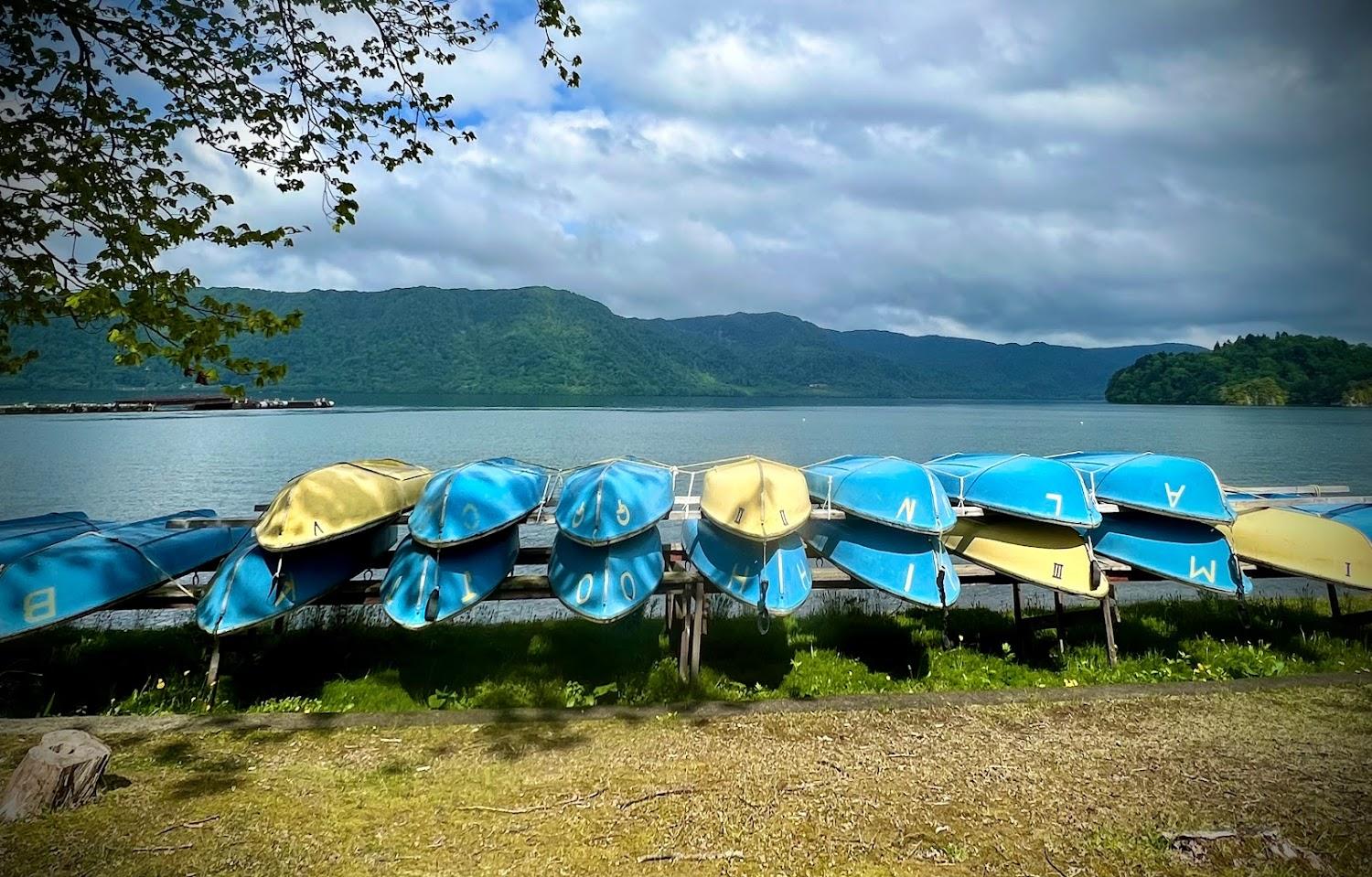 Cover Image for Towadako Lake View Hotel
