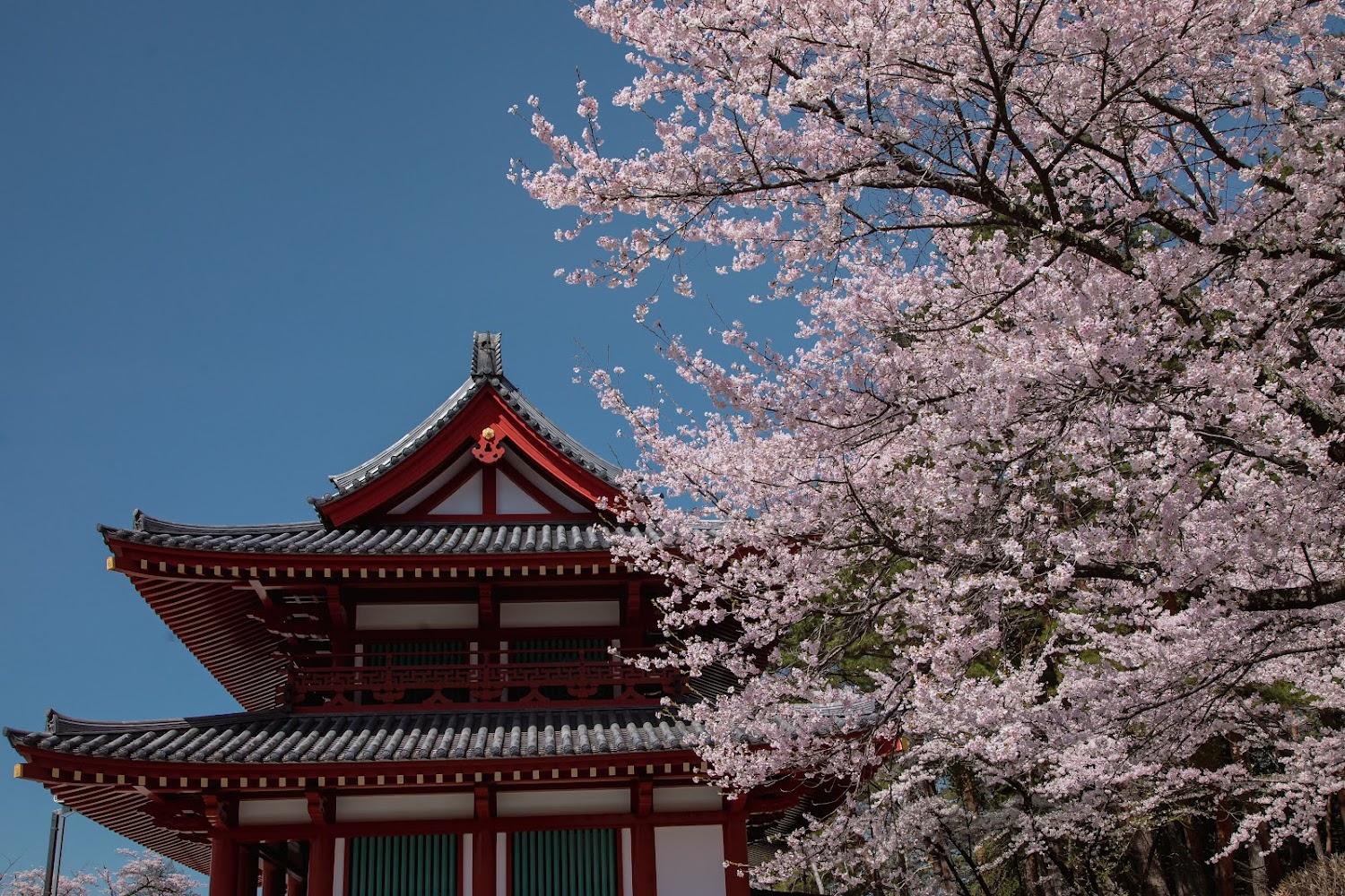 Cover Image for Tateshina Shinyu Onsen