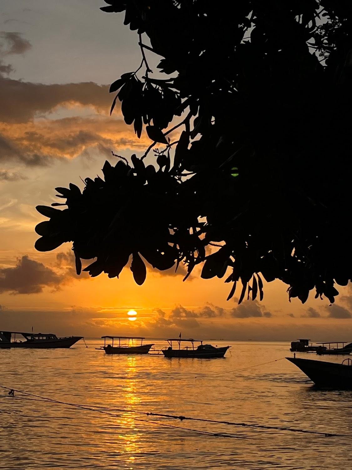 Cover Image for Coco Homestay Bunaken