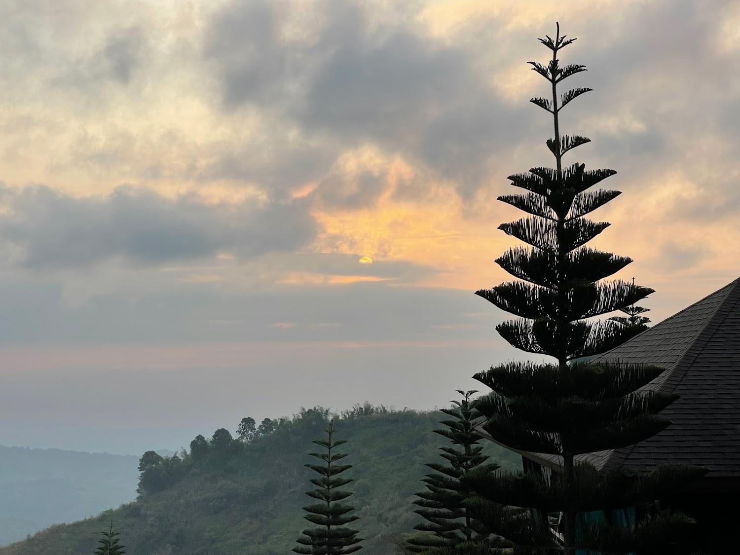 Cover Image for Phusandao Resort