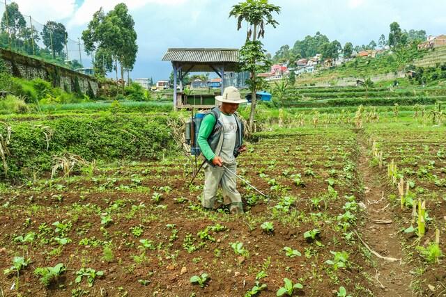 Cover Image for OYO Homes 90991 Eco Tourism Desa Panundaan Ciwidey 2 Syariah