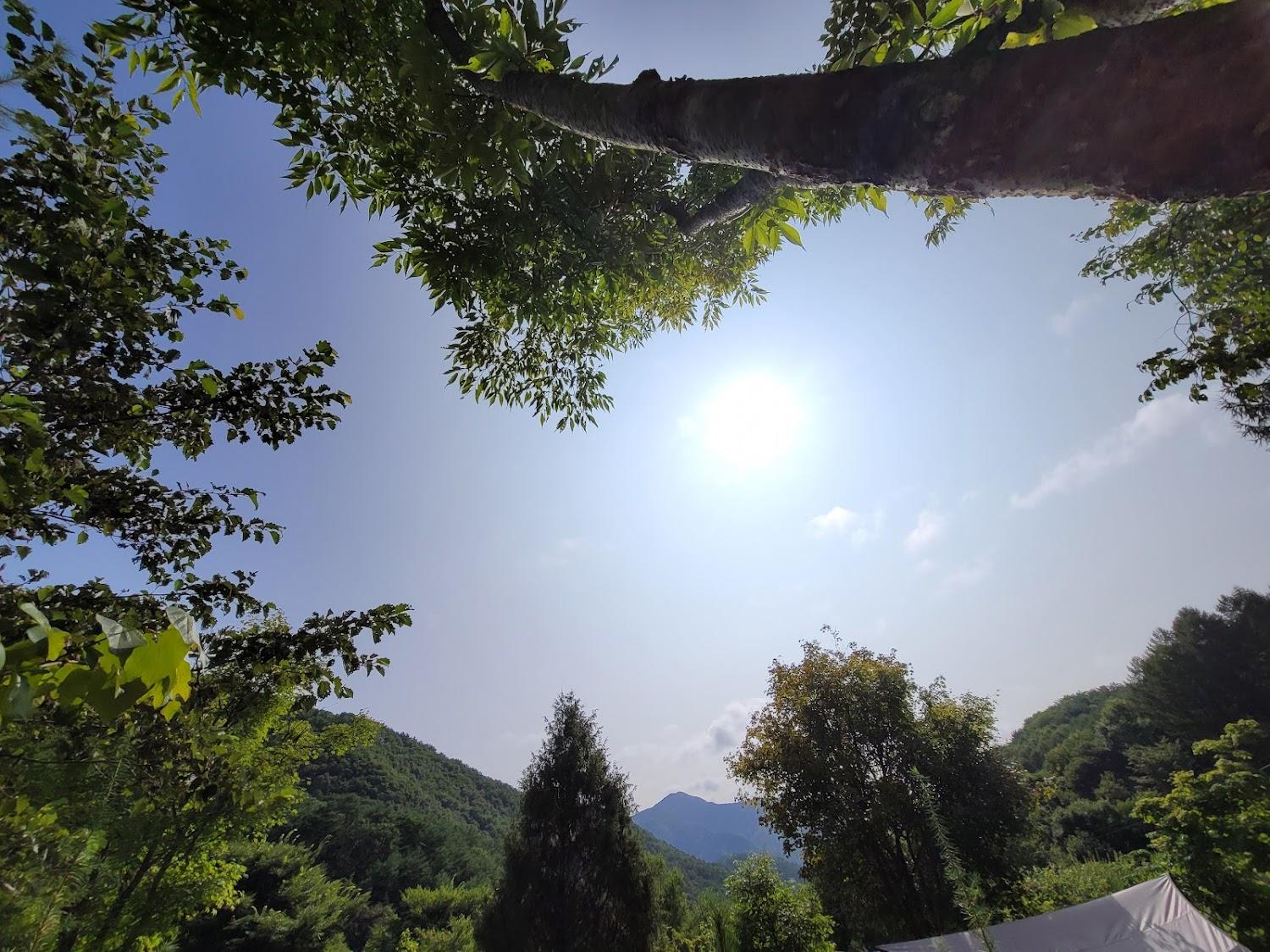 Cover Image for 두산오토캠핑장