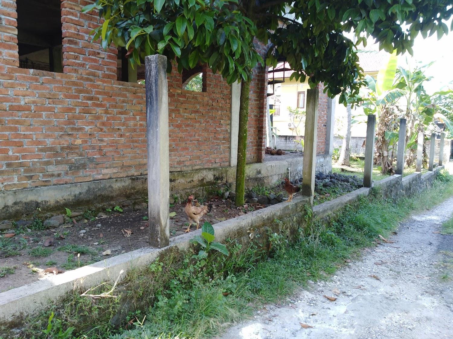 Cover Image for Pondok Balian2