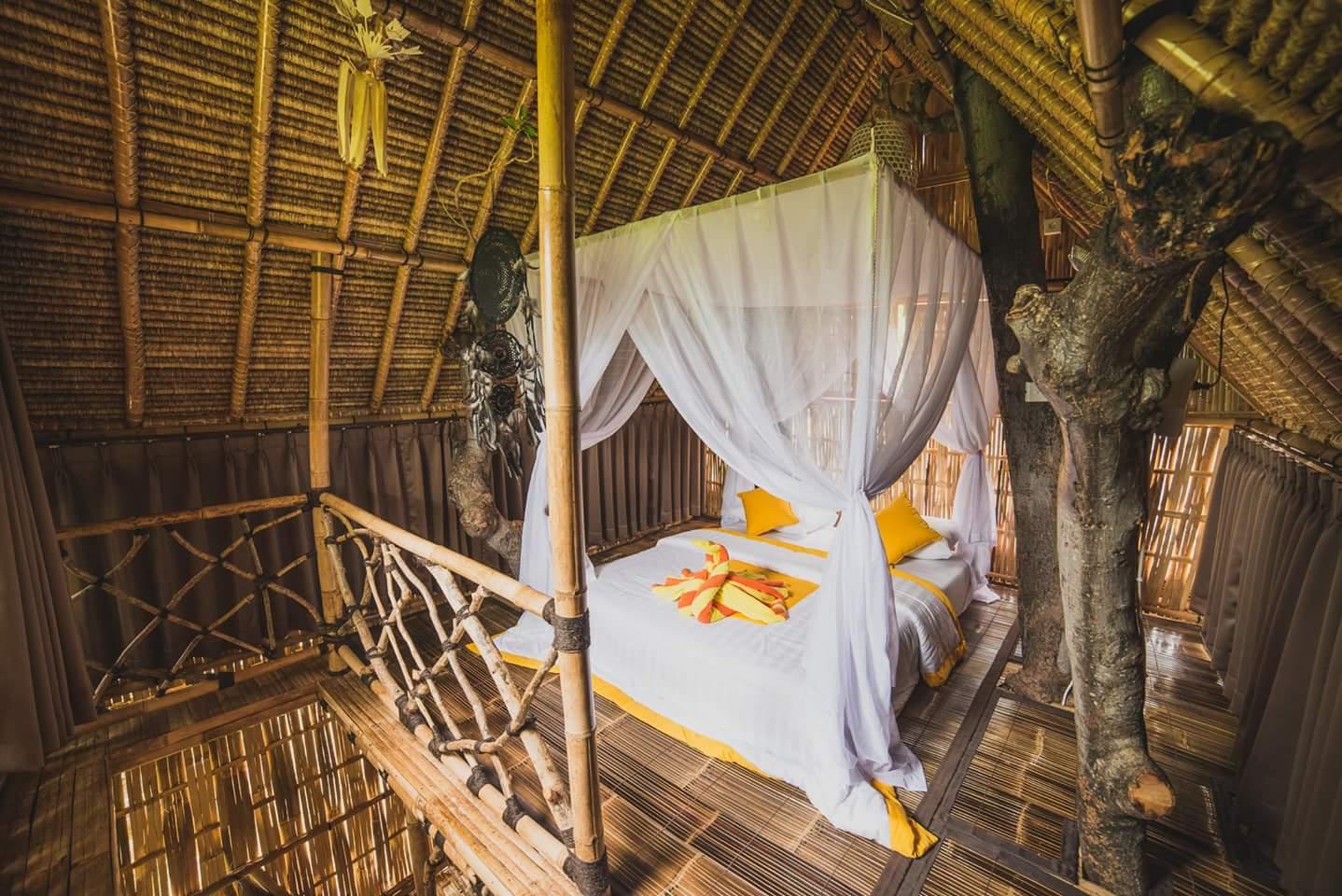 Cover Image for Eco Tree House Amed