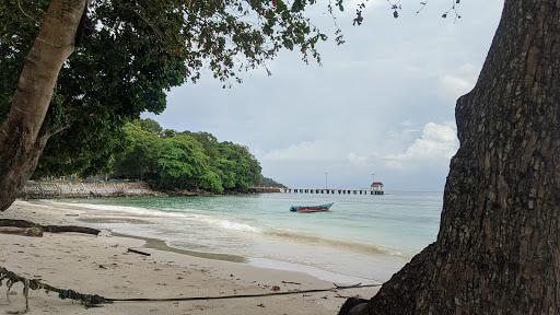 Cover Image for Lumba Lumba Diving Centre & Beach Resort