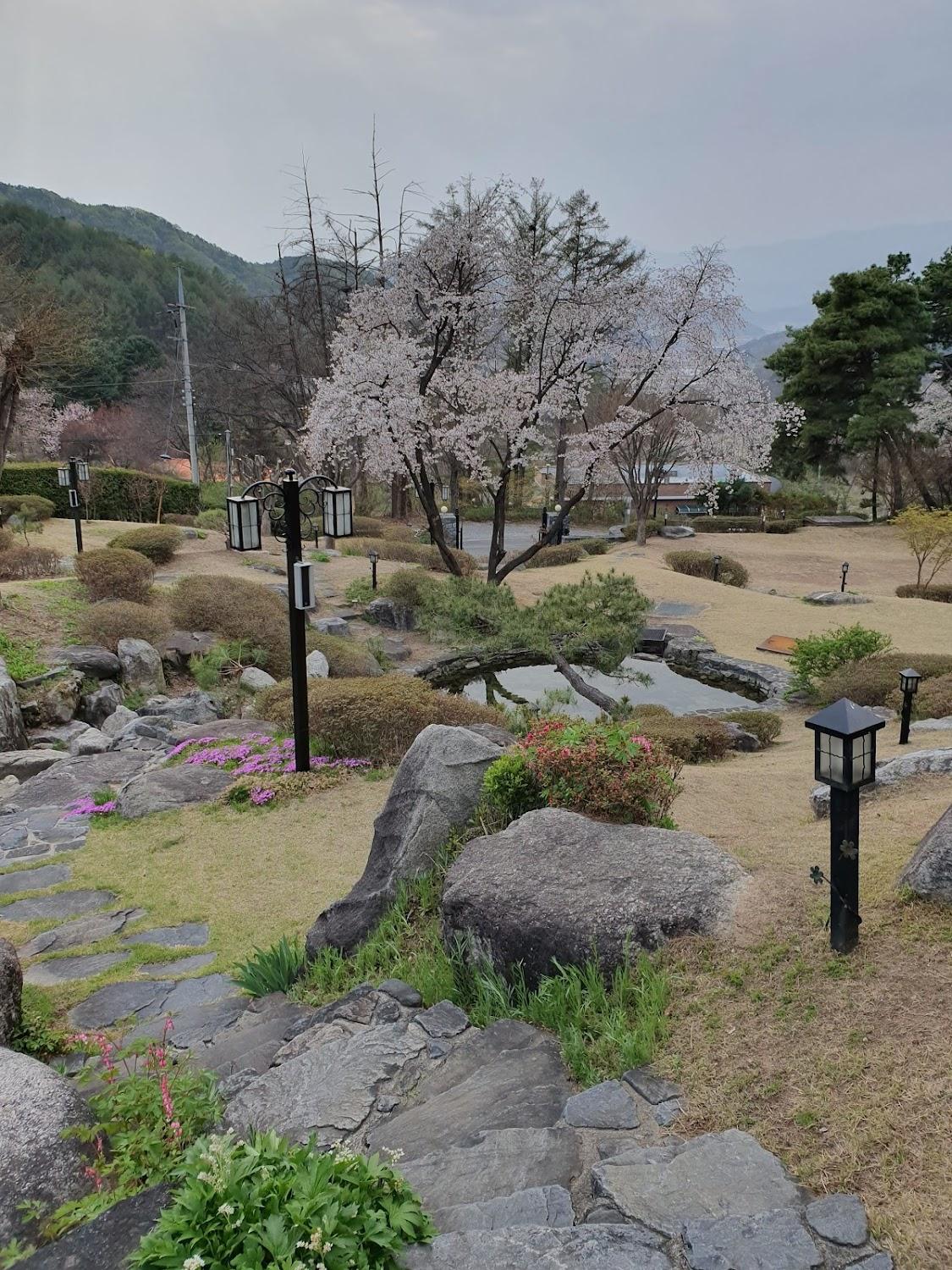 Cover Image for 푸른지혜의숲