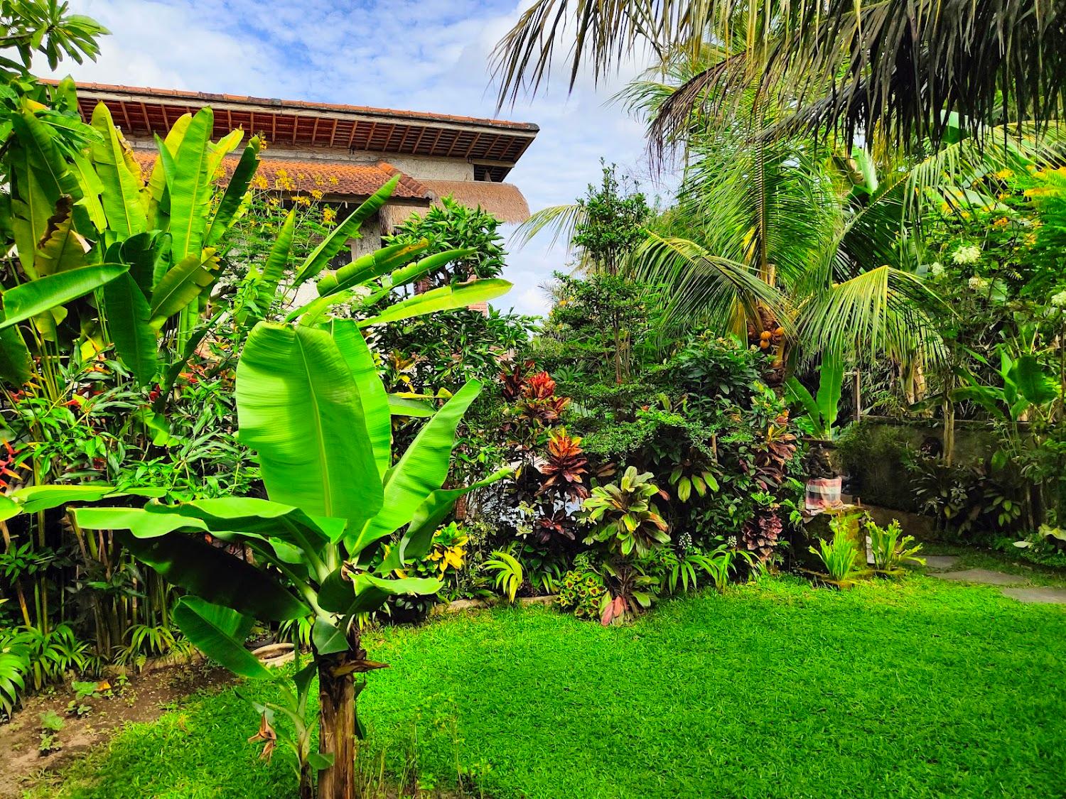 Cover Image for D'Nanda