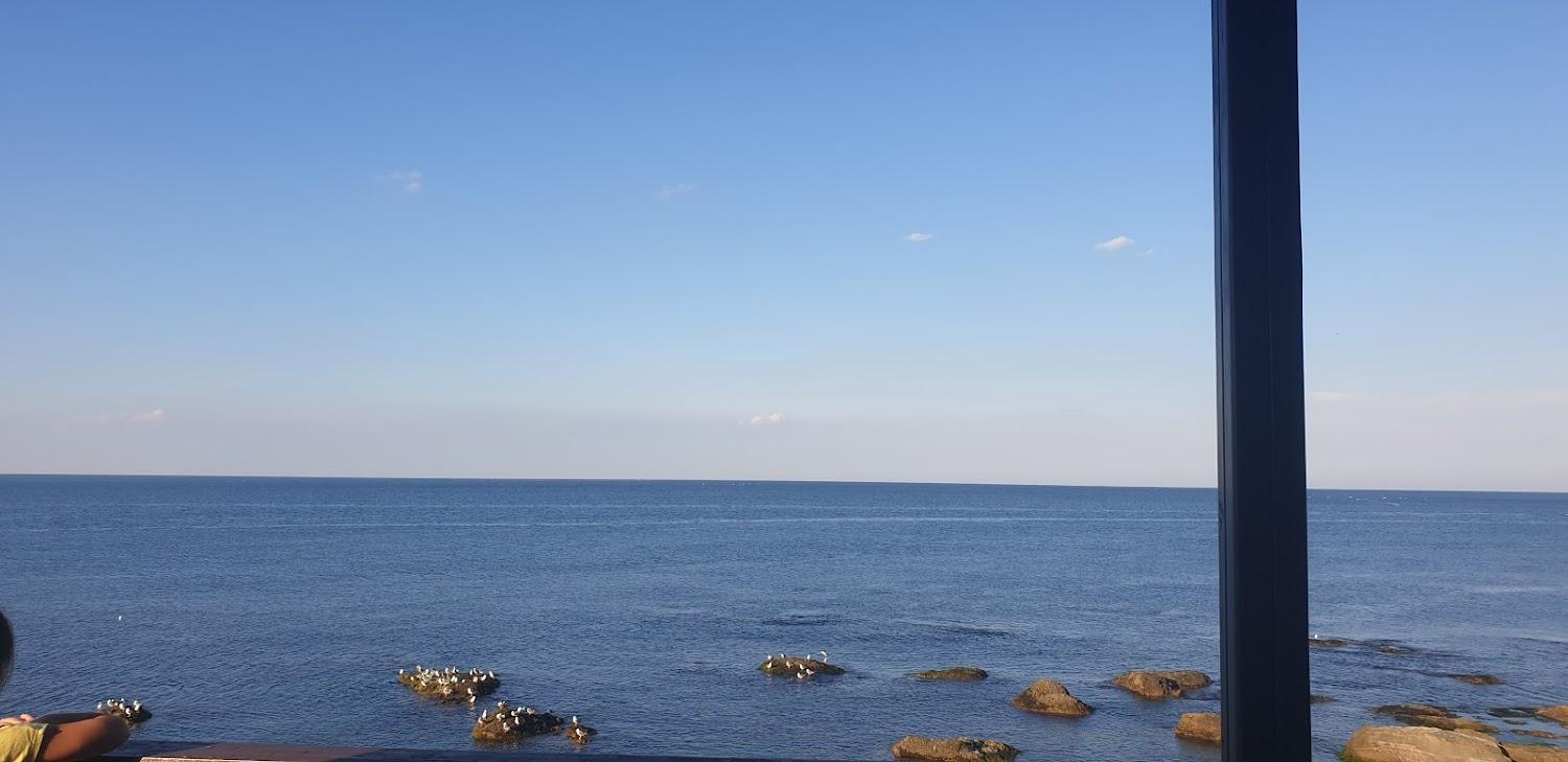 Cover Image for 시슈어스파팬션