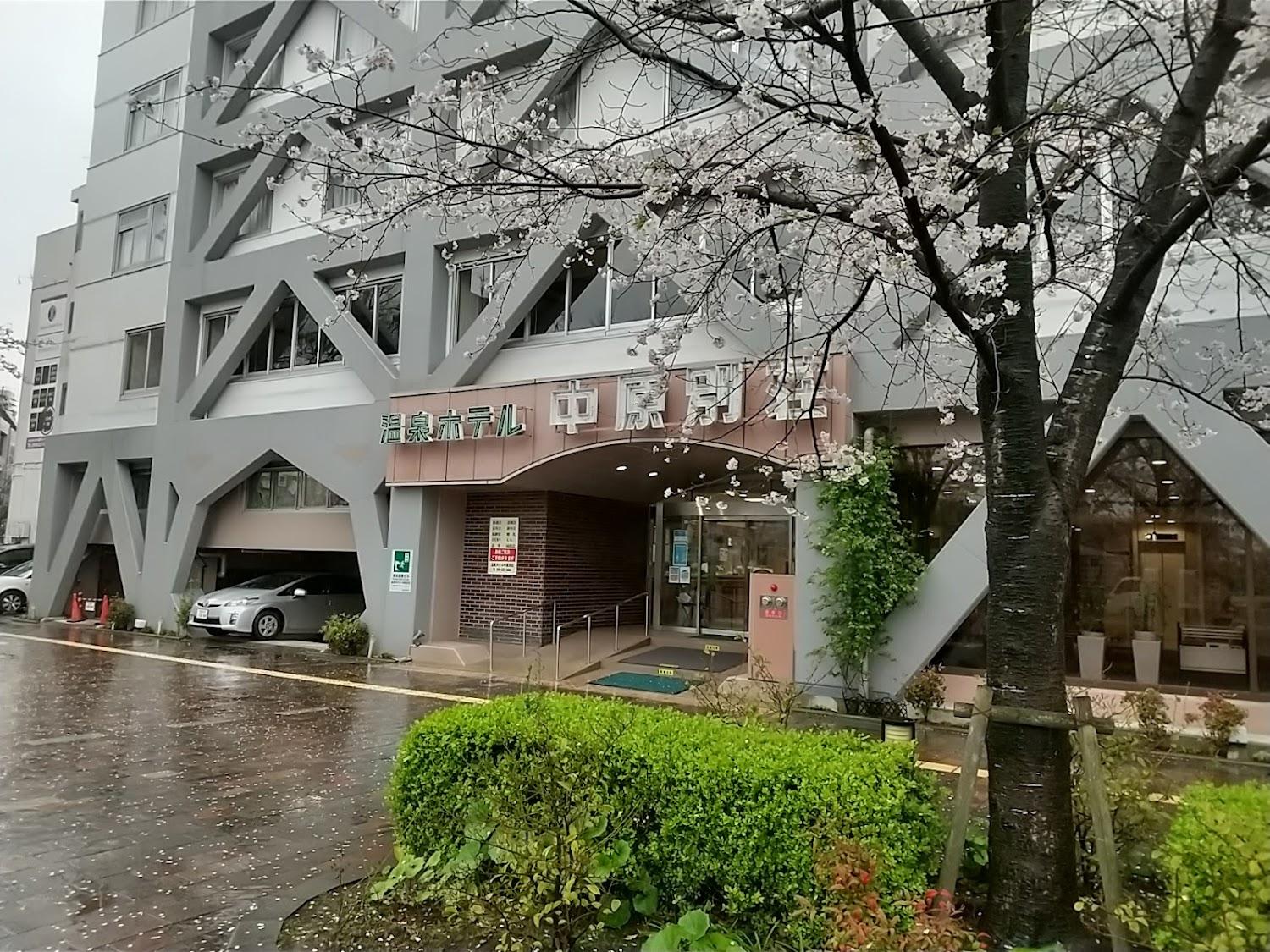 Cover Image for Onsen Hotel Nakahara Bessou