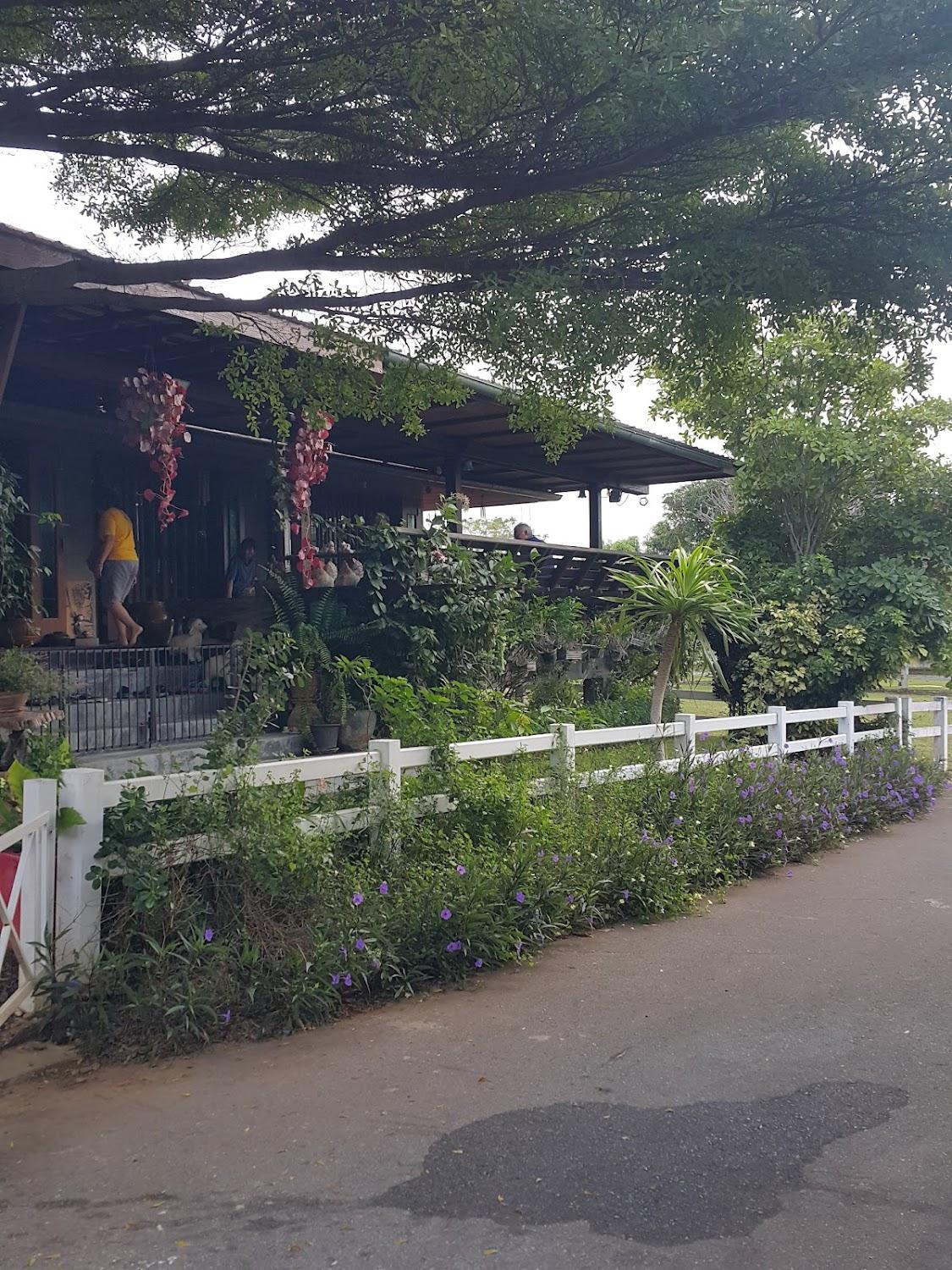 Cover Image for Bansansabye Khaoyai Pakchong