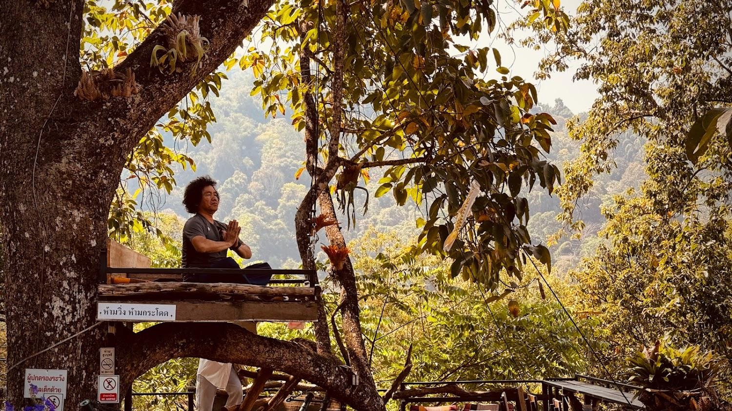 Cover Image for Baan Ton Mai Mae Kam Pong