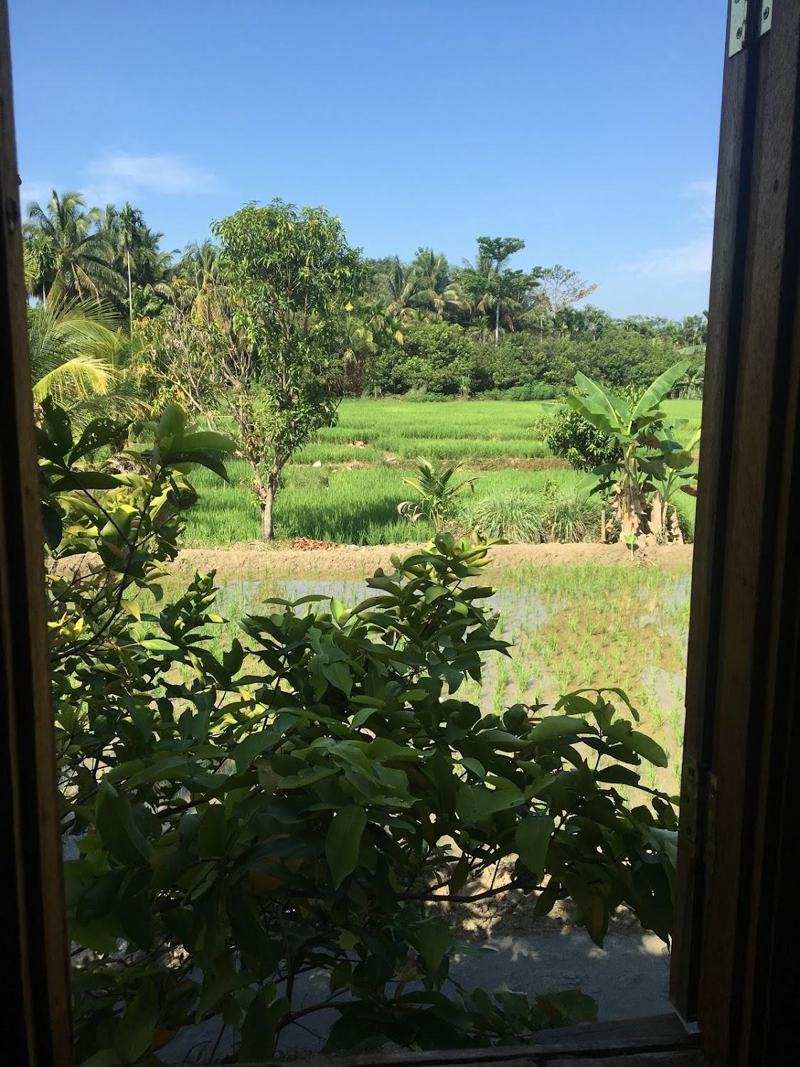 Cover Image for Rumah Papa Homestay